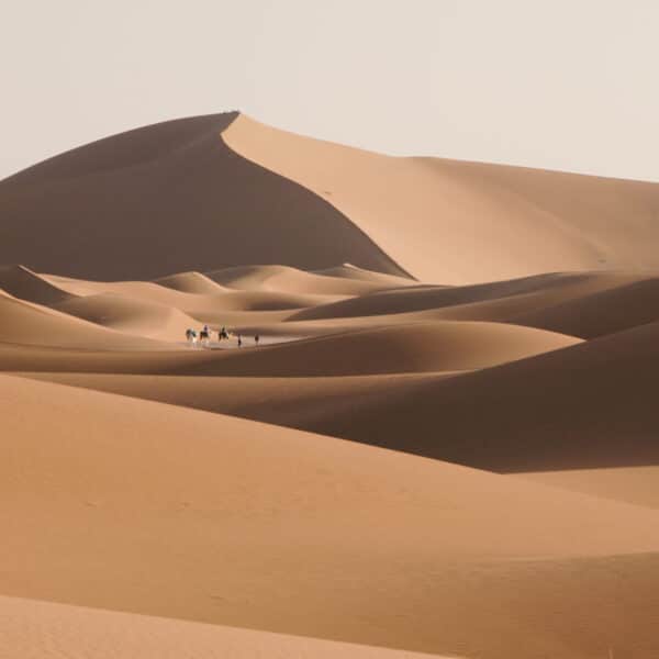 Tour 3 Days From Ouarzazate To Desert Mhamid