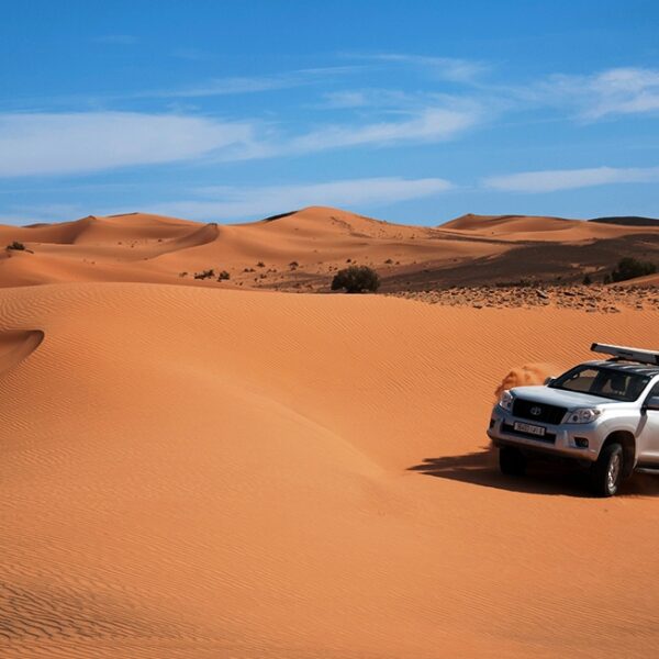 Tour 2 Days From Marrakech to Mhamid
